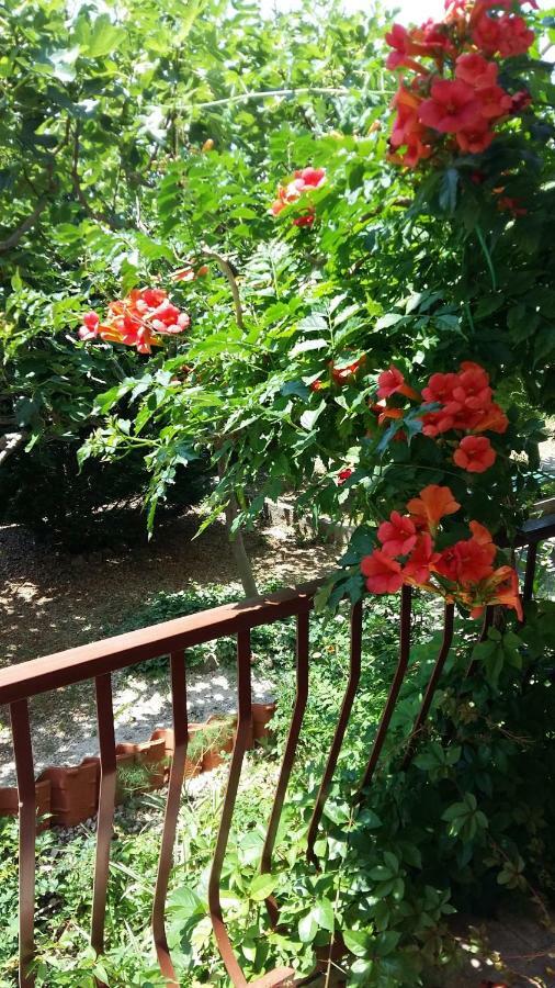 Apartmani Ivanka Makarska Dış mekan fotoğraf