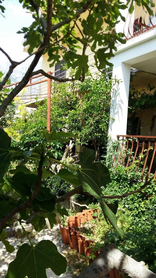 Apartmani Ivanka Makarska Dış mekan fotoğraf